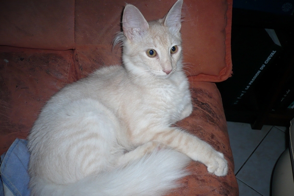 qemal57F123DD-EC23-6EE7-3591-DFD8AE35BD25.jpg